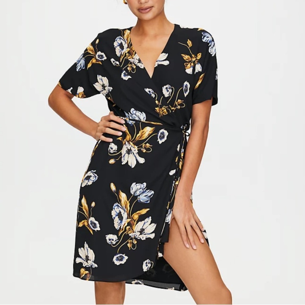 Babaton Wallton Dress Aritzia